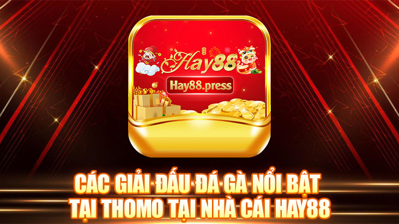 Các giải đấu đá gà nổi bật tại Thomo tại nhà cái Hay88